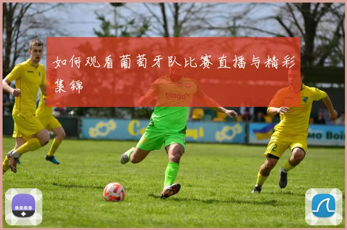 如何观看葡萄牙队比赛直播与精彩集锦