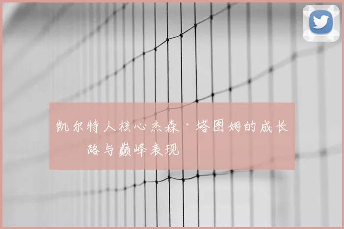 凯尔特人核心杰森·塔图姆的成长之路与巅峰表现