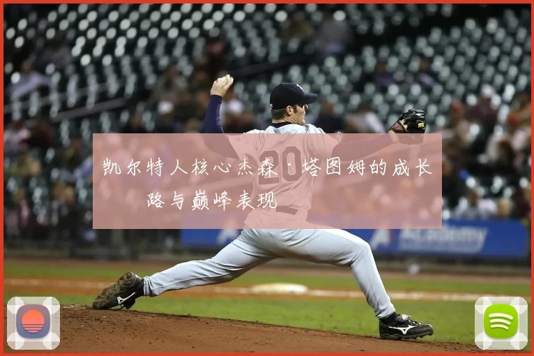 凯尔特人核心杰森·塔图姆的成长之路与巅峰表现